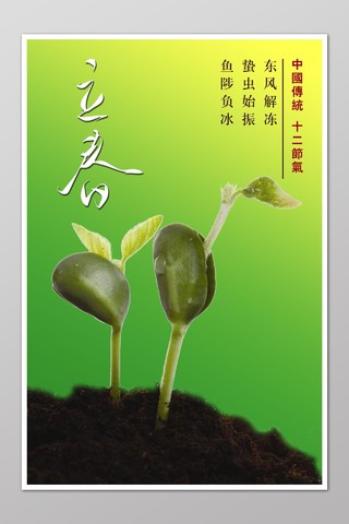 二十四节气立春春天种子发芽绿色清新背景海报